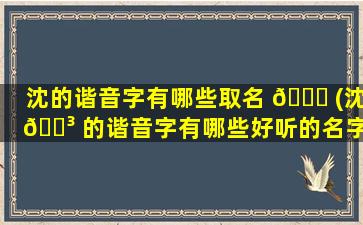 沈的谐音字有哪些取名 🐎 (沈 🐳 的谐音字有哪些好听的名字)